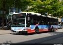 HHA_6029.jpg