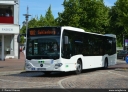 KVG_1536.jpg