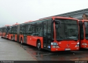 Dateiname=ORN_MZ-RN_210.jpg
Dateigröße=148KB
Abmessungen: 800x578
hinzugefügt am: 23. April 2015 ORN_MZ-RN_210.jpg