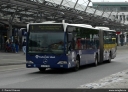 SL_356.jpg