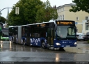 SL_459.jpg