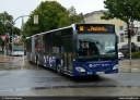 SL_463.jpg