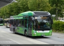 SL_698.jpg