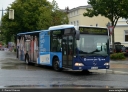 SL_768.jpg