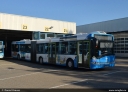 SWM_1494.jpg