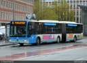 SWM_2752.jpg