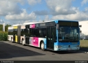 Theos_Reisen_MS-JT_202.jpg