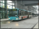 VGF_348.JPG