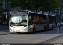 VHH_1425.jpg