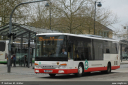 bauerundschlecht231.jpg
