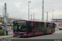 bex8180.jpg