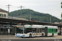 bogg222.jpg