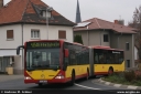 brn295.jpg