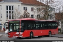 brn375.jpg