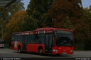 Dateiname=brn678.jpg
Dateigröße=263KB
Abmessungen: 800x536
hinzugefügt am: 07. November 2013 brn678.jpg