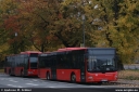 Dateiname=brn717.jpg
Dateigröße=300KB
Abmessungen: 800x536
hinzugefügt am: 10. Dezember 2015 brn717.jpg