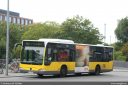 bvb8313.jpg