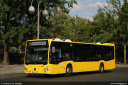 bvg1017.jpg