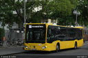 bvg1118.jpg