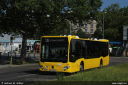 bvg1165.jpg