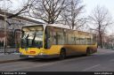bvg1457.jpg