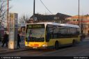 bvg2262.jpg