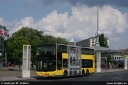 bvg3134.jpg