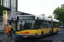 bvg4231.jpg