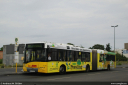 bvg4284.jpg