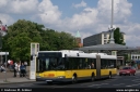 bvg4295.jpg