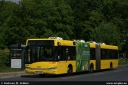 bvg4298.jpg