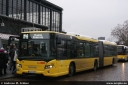 bvg4457.jpg