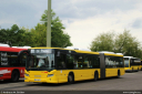 bvg4674.jpg