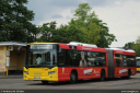 bvg4716.jpg