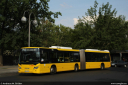 bvg4773.jpg