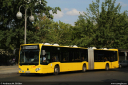 bvg4786.jpg