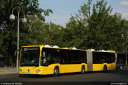 bvg4796.jpg