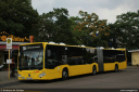 bvg4866.jpg