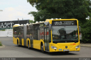 bvg4968.jpg