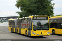 bvg4969.jpg