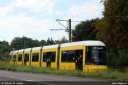 bvg9111.jpg