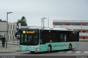 bvo829.jpg