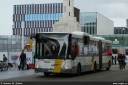 delijn4436.jpg