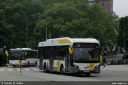 delijn5921.jpg