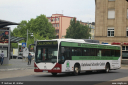 dillschnitter215.jpg