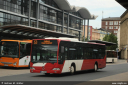 dillschnitter9235.jpg