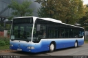 henneke530.jpg