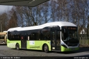 jasper8195.jpg