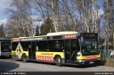 jasper8307.jpg