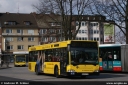 jasper8349.jpg